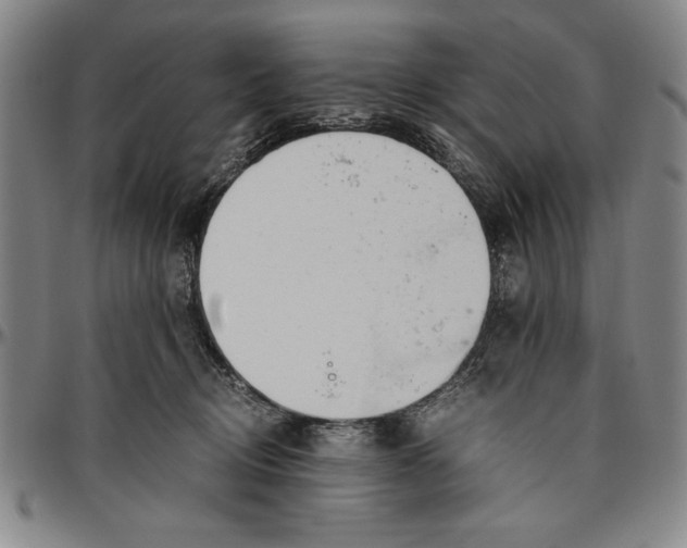 X0000096460370200802211132