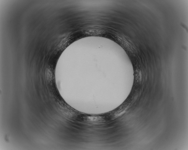 X0000096460371200802211132