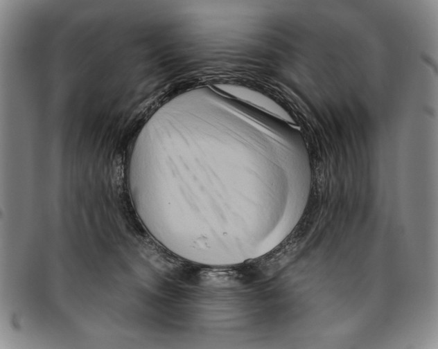 X0000096460372200802211132