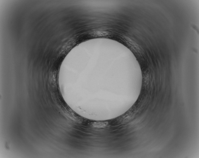 X0000096460373200802211132