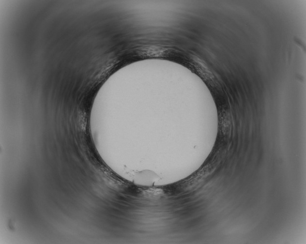 X0000096460374200802211132