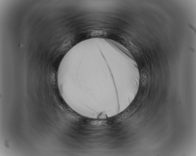 X0000096460375200802211132