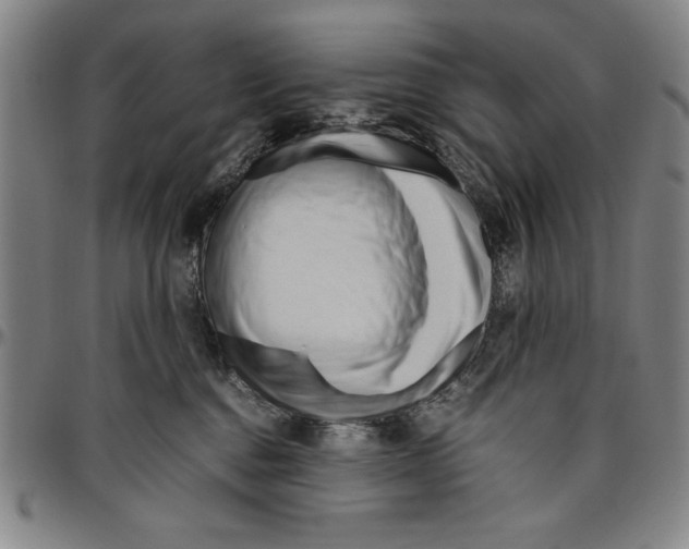 X0000096460376200802211132