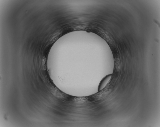 X0000096460378200802211132