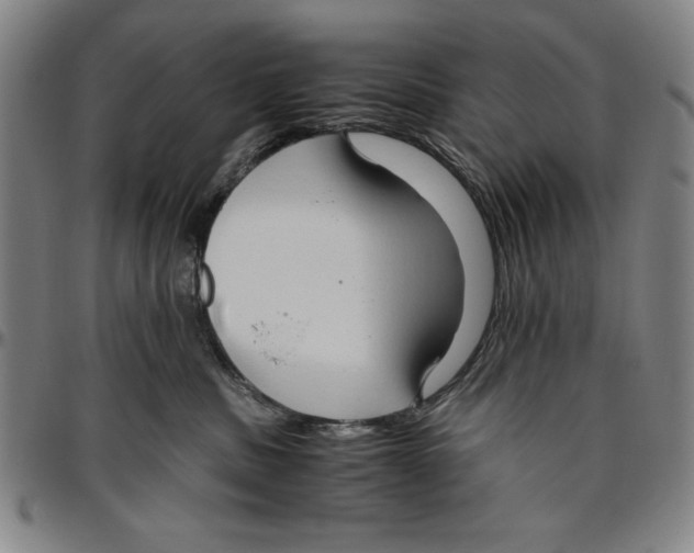 X0000096460379200802211132