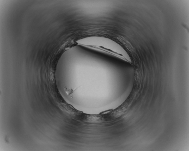 X0000096460380200802211132