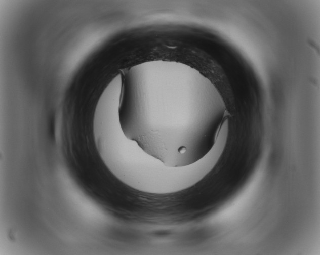 X0000096460382200802211132