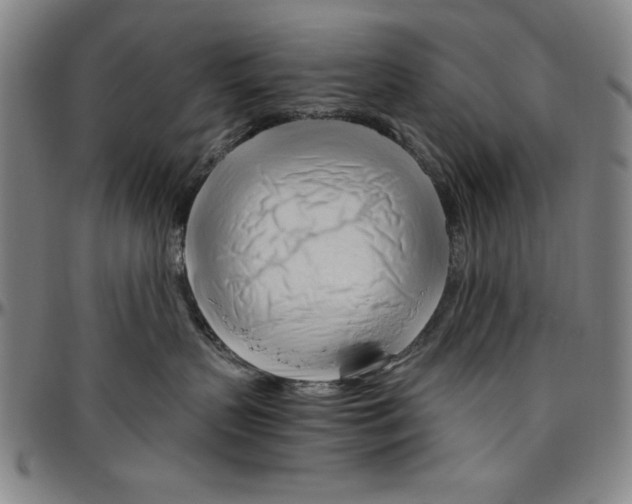 X0000096460383200802211132