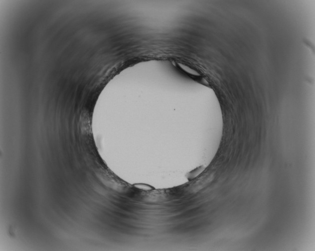 X0000096460384200802211132