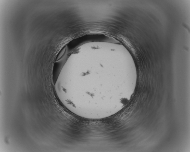 X0000096460385200802211131