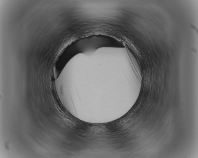 X0000096460386200802211131