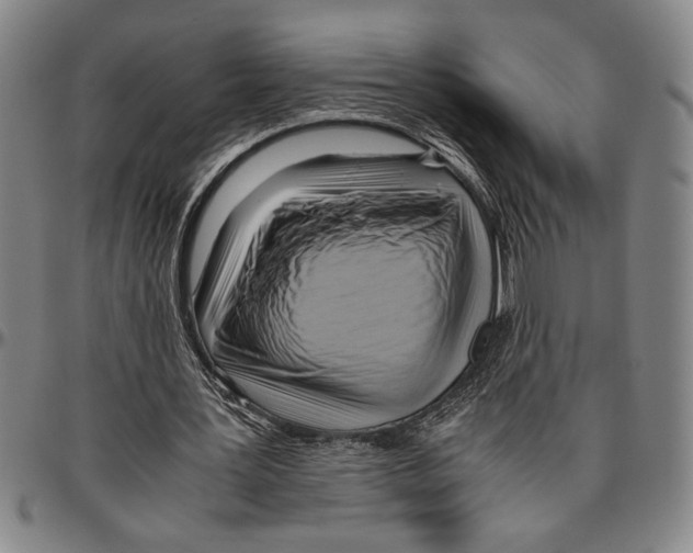 X0000096460387200802211131