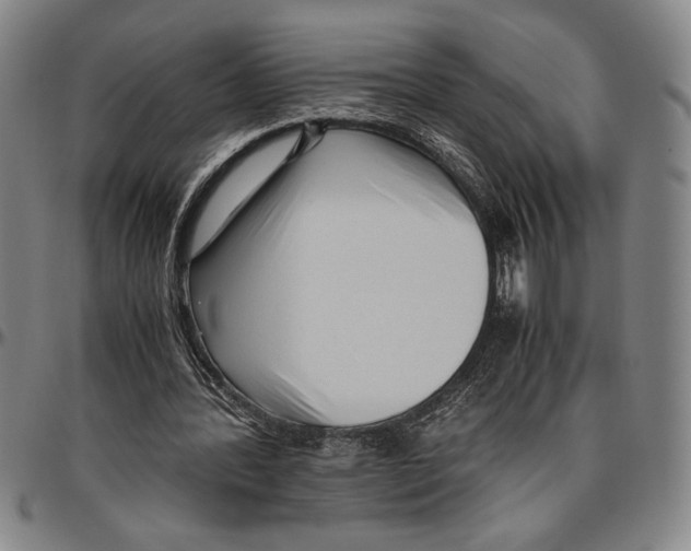 X0000096460388200802211131