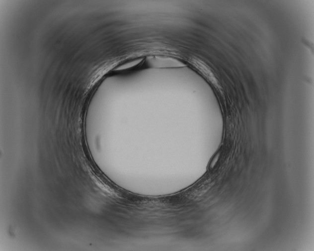 X0000096460389200802211131