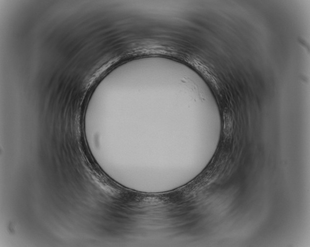 X0000096460390200802211131