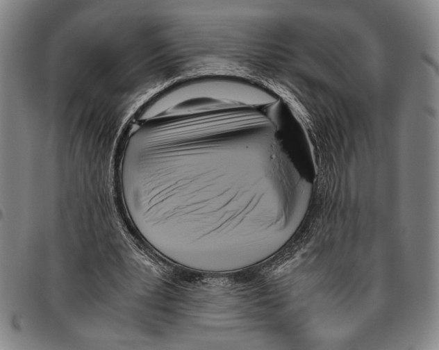 X0000096460391200802211131