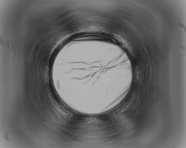 X0000096460392200802211131