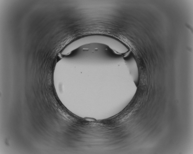 X0000096460393200802211131