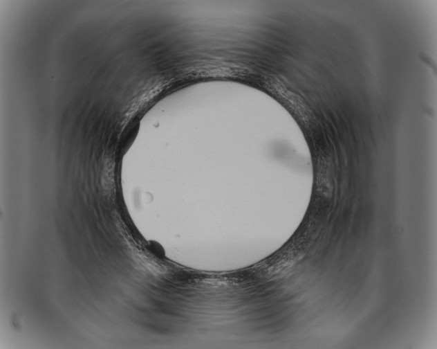 X0000096460394200802211131
