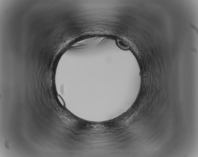 X0000096460395200802211131