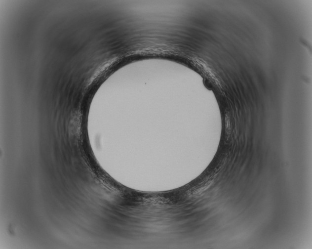 X0000096460396200802211131