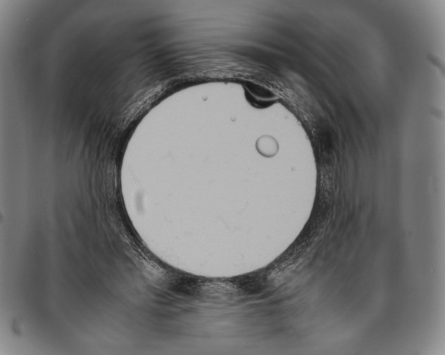 X0000096460397200802211131