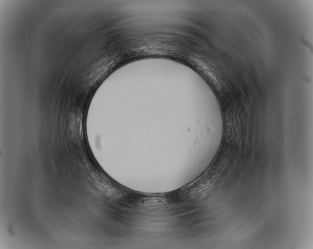 X0000096460398200802211131