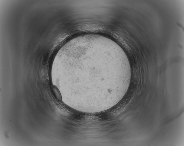 X0000096460399200802211131