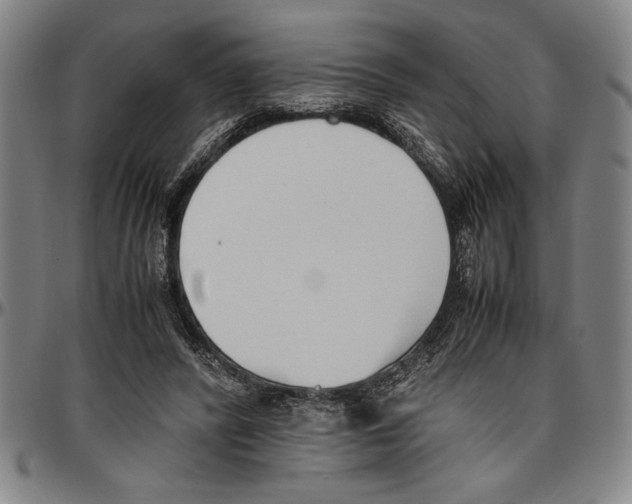 X0000096460400200802211131