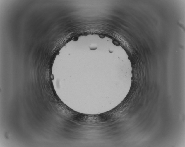 X0000096460401200802211131