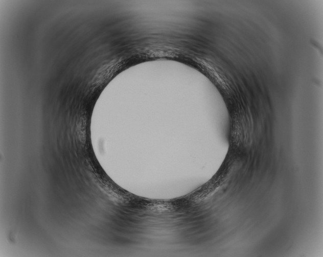 X0000096460402200802211131