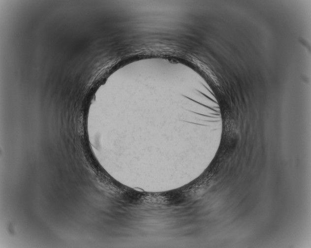 X0000096460403200802211131
