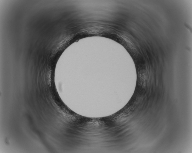 X0000096460404200802211131