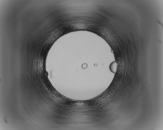 X0000096460406200802211131