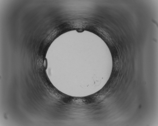 X0000096460407200802211131