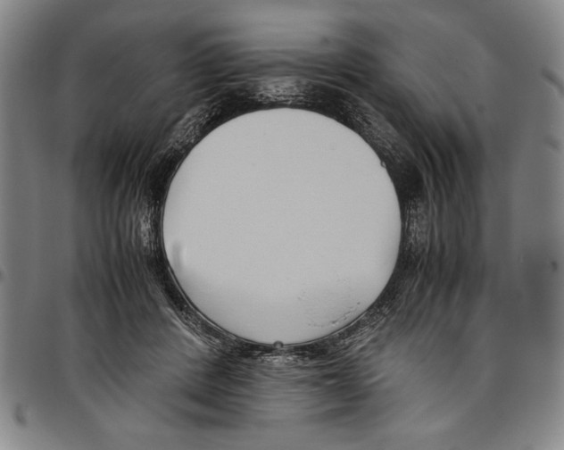 X0000096460408200802211131
