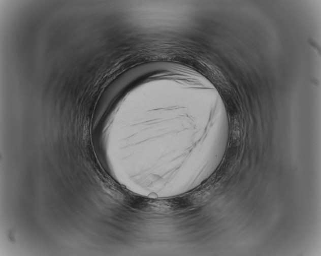 X0000096460409200802211131
