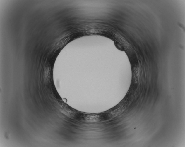 X0000096460410200802211131
