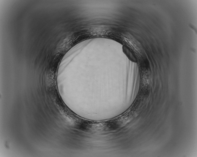 X0000096460411200802211131