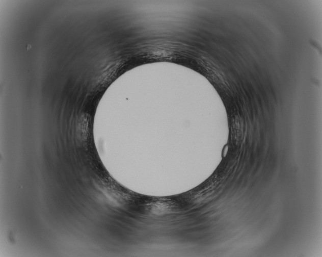 X0000096460412200802211131