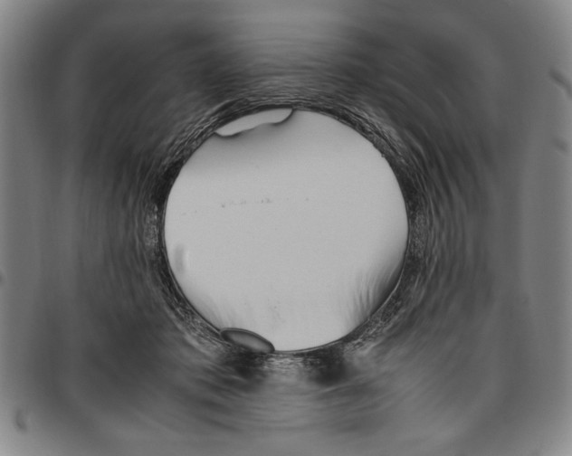 X0000096460413200802211131
