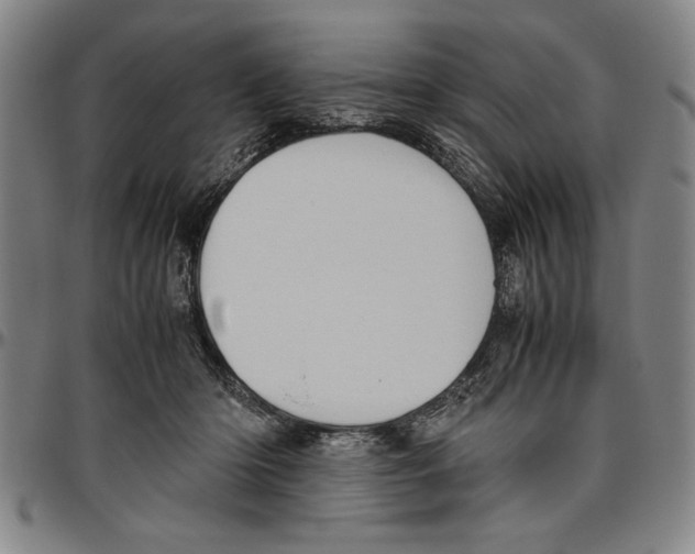 X0000096460414200802211131
