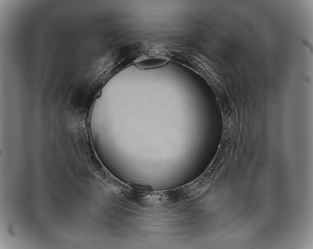 X0000096460415200802211131