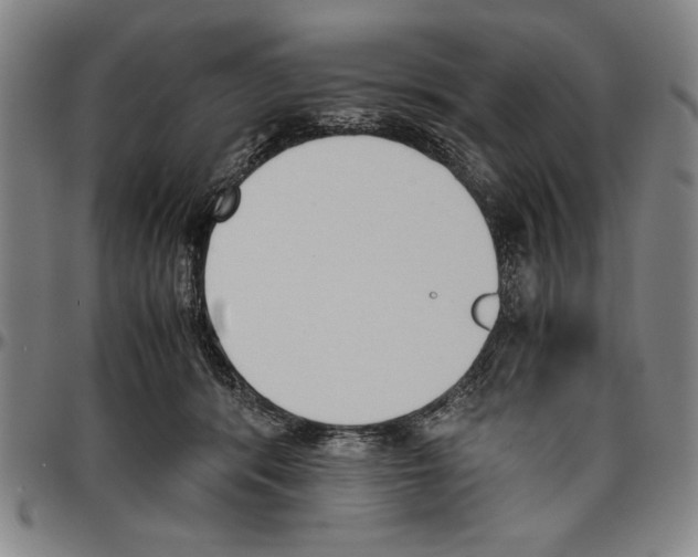 X0000096460416200802211131
