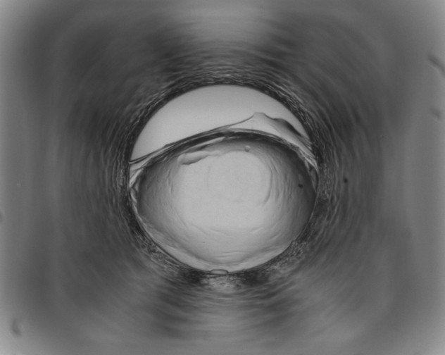 X0000096460417200802211131