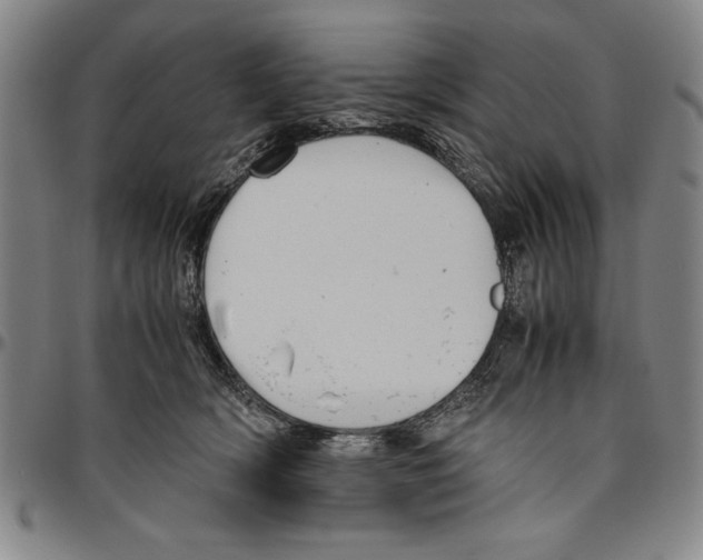 X0000096460418200802211131