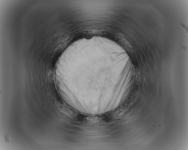 X0000096460419200802211131