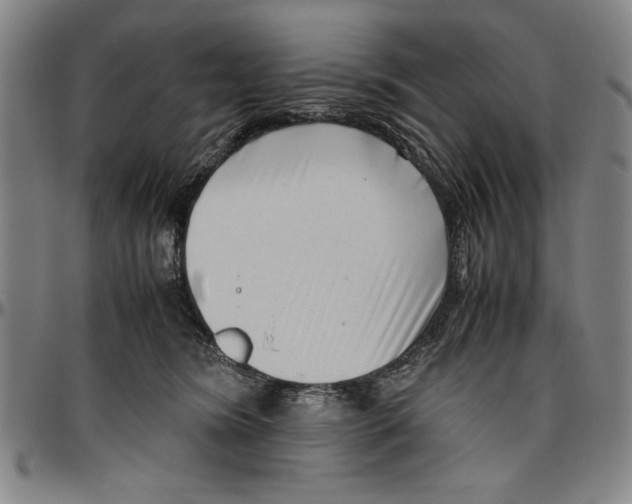 X0000096460420200802211131