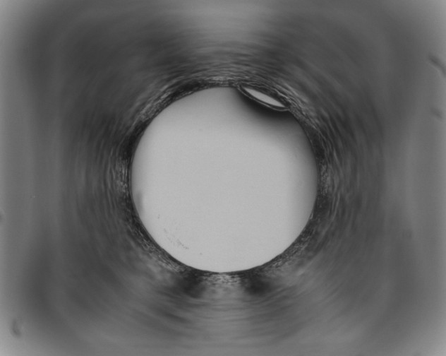 X0000096460421200802211131