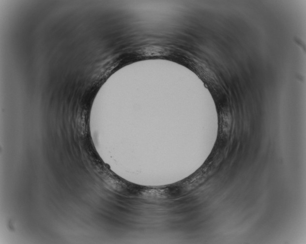 X0000096460422200802211131